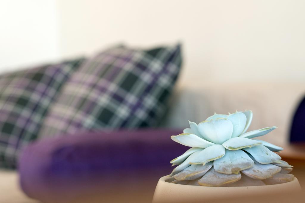 Beach Guesthouse Mediteran Ποντστράνα Δωμάτιο φωτογραφία